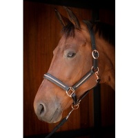 Harry's Horse Halster Leder Metallic zwart-gunmetal- pony