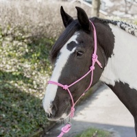 Harry's Horse Touwhalster zwart- pony