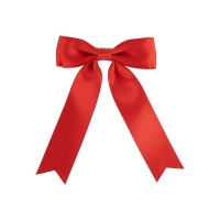 BR waarschuwingsstrik VE5 Rood