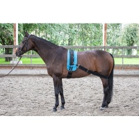 Harry's Horse Longeerband Elastisch