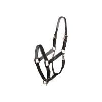 ANKY® poetshalster Zwart- Pony