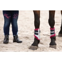 Harry's Horse Beenbeschermers Diva Stella zilver- shetland