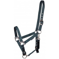 Harry's Horse Halster 3x verstelbaar paars- cob