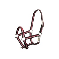 Premiere veulenhalster Fun Fuchsia- Foal XS