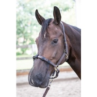 Harry's Horse Neusnet zwart- pony Harry's Horse Neusnet zwart- pony