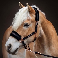 Harry's Horse Halsterset Love zwart- full