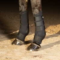 Harry's Horse Beenbeschermers Magnetic - l