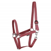 Harry's Horse Halster Economy STLT legergroen- cob