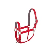 BR halster Event Florid Red- Cob