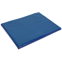 Ontsmettingsmat 55x45x3 cm