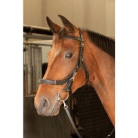 Harry's Horse Kaptoom hoofdstel Leder Anatomic zwart- pony