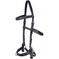 Harry's Horse Kaptoom hoofdstel Leder - full