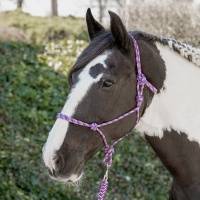 Harry's Horse Touwhalster lichtblauw- cob