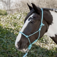 Harry's Horse Touwhalster paars- pony