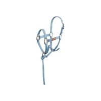 Premiere veulenhalster Brisk Dusk Blue- Foal XS