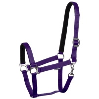 Harry's Horse Halster Padded lichtblauw- x-full
