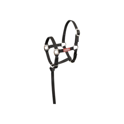 Premiere veulenhalster Brisk Zwart- Foal XS