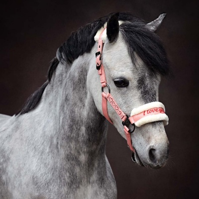 Foto van Harry's Horse Halsterset Love roze- pony