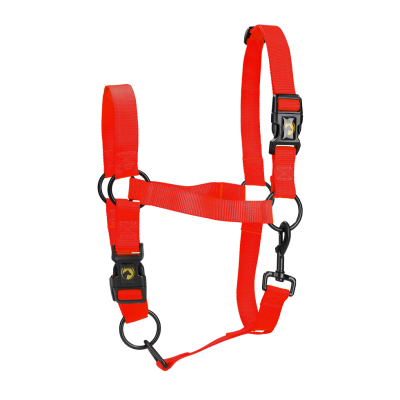 Excellent Essential Halster Rood M