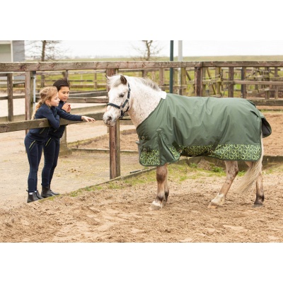 Harry's Horse Regendeken 200gr STOUT! Lime legergroen- 125cm