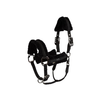 Foto van BR Eevolv halster Jonne Meteorite- Full