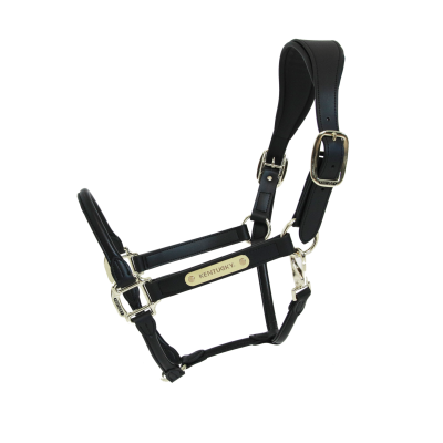 Foto van Kentucky Anatomische leder halster Black- Full