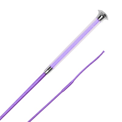 Foto van Harry's Horse Dresuurzweep Colour coral- 100cm