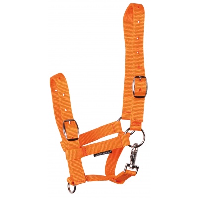 Harry's Horse Veulenhalster oranje Foto van Harry's Horse Veulenhalster oranje
