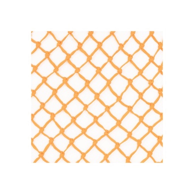 Premiere hooinet Oranje
