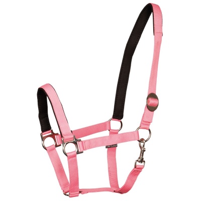 Harry's Horse Halster Padded rood- x-full Harry's Horse Halster Padded rood- x-full