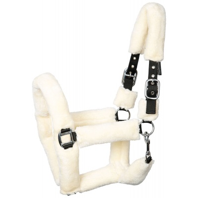 Harry's Horse Halster Teddy - pony Foto van Harry's Horse Halster Teddy - pony