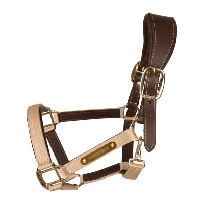 Foto van Kentucky Nylon Anatomisch halster Beige- Cob