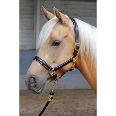 Harry's Horse Halster Leder met bies zilver- cob Foto van Harry's Horse Halster Leder met bies zilver- cob