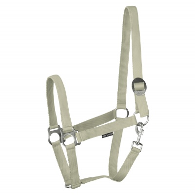 Harry's Horse Halster Economy STLT lime- full