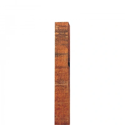 Foto van Gallagher Insultimber (FSC®) hoekpaal 250x10x10cm (1)
