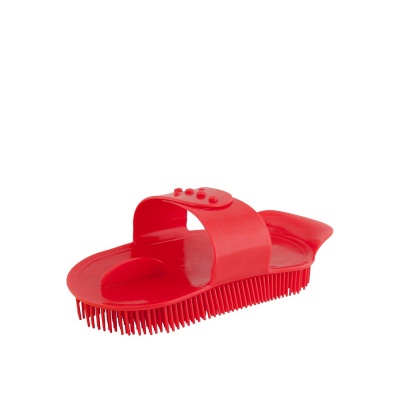 Plastic rosborstel Rood