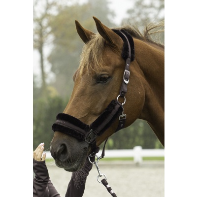 Harry's Horse Halterset Soft Billie jet-black- shetland Harry's Horse Halterset Soft Billie jet-black- shetland