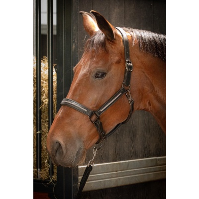 Harry's Horse Halster Leder Metallic zwart-rosegold- cob Harry's Horse Halster Leder Metallic zwart-rosegold- cob