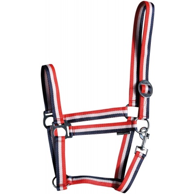 Harry's Horse Halster Economy lichtblauw-roze-lichtblauw- cob Harry's Horse Halster Economy lichtblauw-roze-lichtblauw- cob