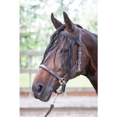 Harry's Horse Vliegenfrontriem zwart - full Harry's Horse Vliegenfrontriem zwart - full