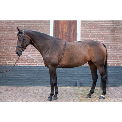 Harry's Horse Longeerhulp Soft - l Foto van Harry's Horse Longeerhulp Soft - l
