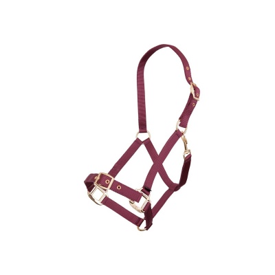 Foto van Premiere halster Bordeaux- Cob