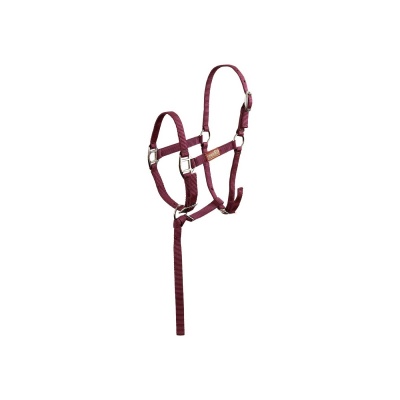 Premiere veulenhalster Brisk Rose Wine- Foal