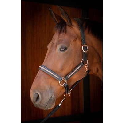 Harry's Horse Halster Leder Metallic zwart-gunmetal- pony