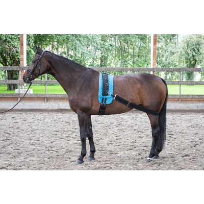 Harry's Horse Longeerband Elastisch Foto van Harry's Horse Longeerband Elastisch