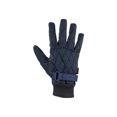 BR rijhandschoenen Fara Carbon- 6.5