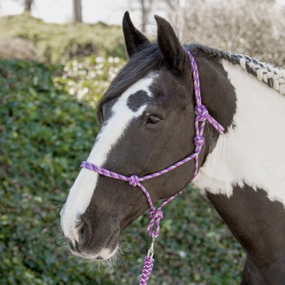 Harry's Horse Touwhalster lichtblauw- full