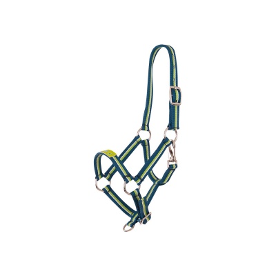 Premiere veulenhalster Fun Petrol Blue/Sky Blue- Foal XS
