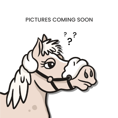 Foto van Kentucky Winterdeken All Weather Waterproof Classic 150 gram Black- 140 cm