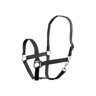 Foto van Premiere halster Soft Economic Green Gables- Cob